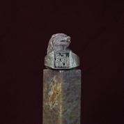 Snake (shé 蛇) Signet Ring