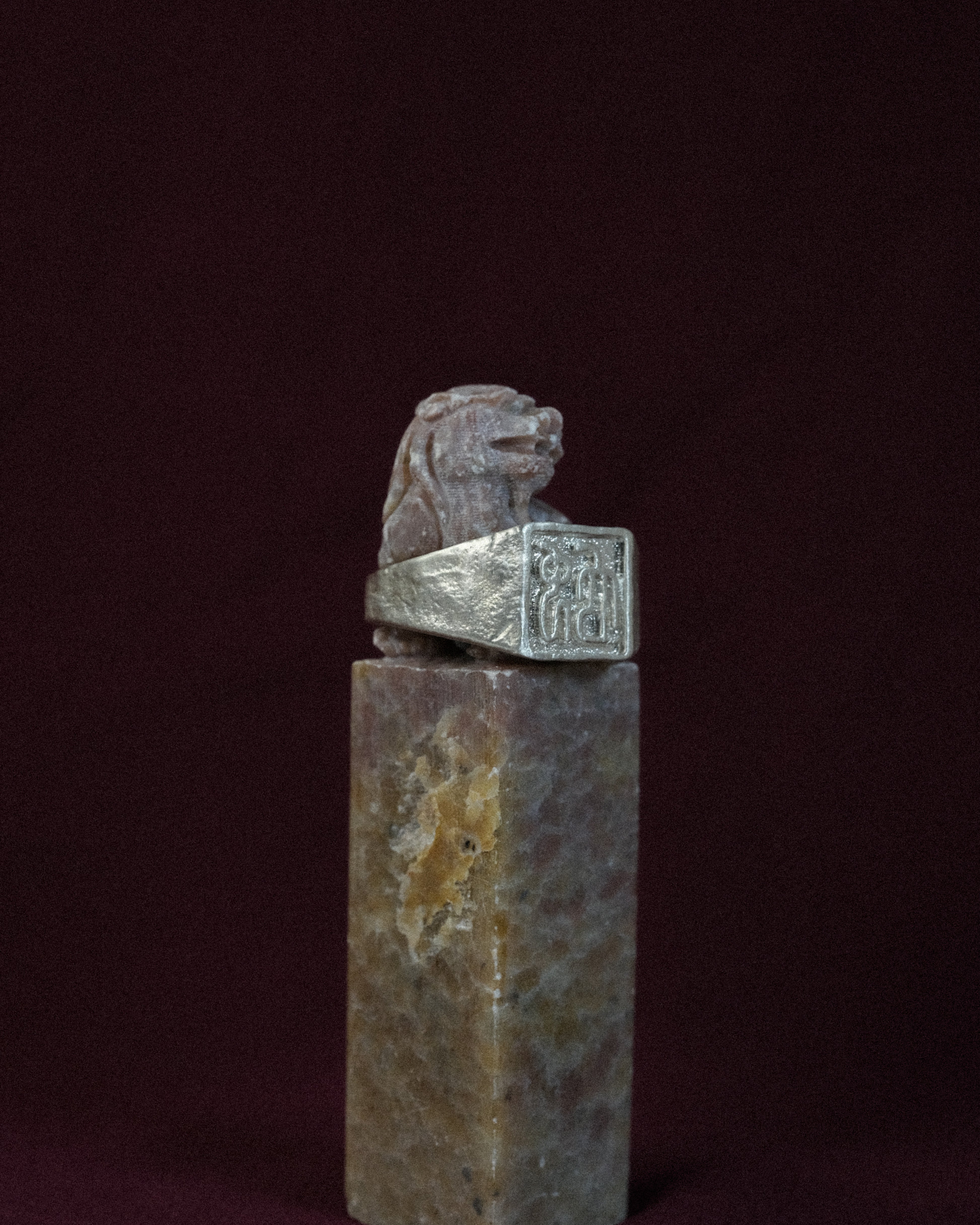 Snake (shé 蛇) Signet Ring