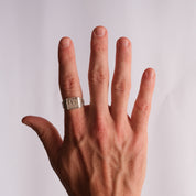 Pig (zhū 豬) Signet Ring