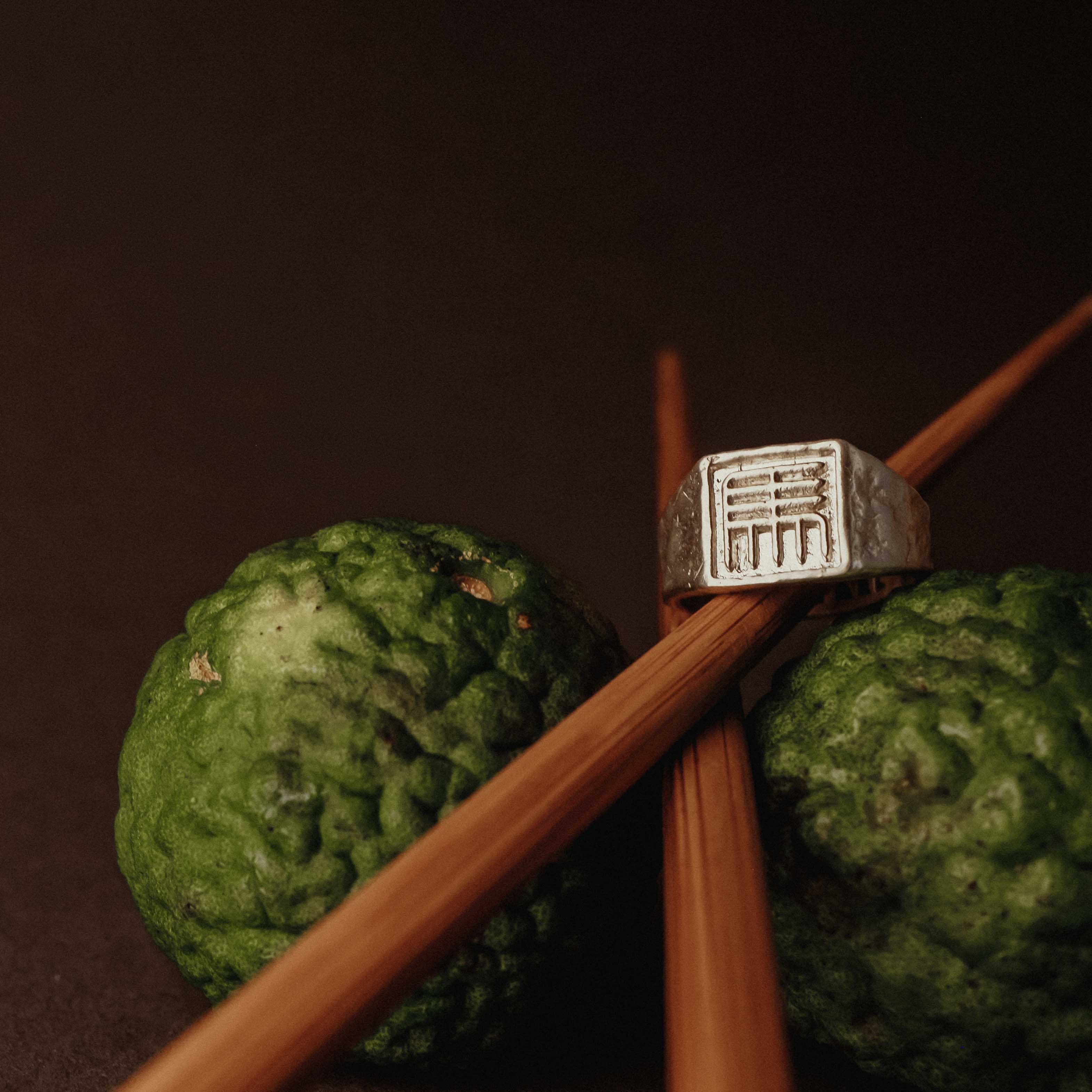 Horse (mǎ 馬) Signet Ring